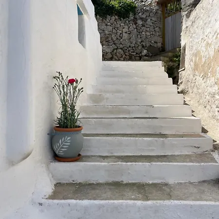 Appartement Vorino House