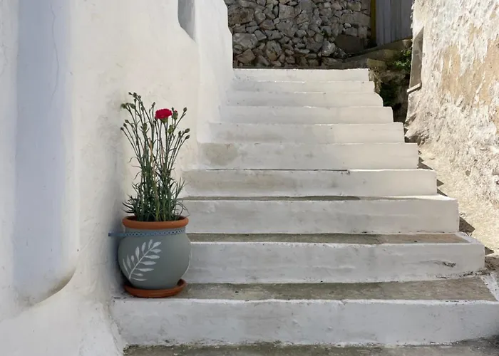 Appartement Vorino House